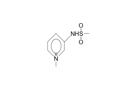 3-Methanesulphamido-1-methyl-pyridinium cation