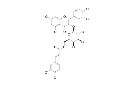 QUERCETIN-3-(6''-O-TRANS-CAFFEOYL)-BETA-D-GALACTOPYRANOSIDE