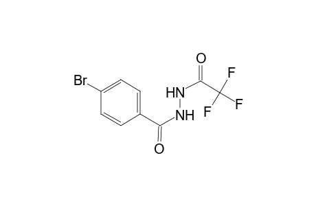 Acethydrazide, 2,2,2-trifluoro-N2-(4-bromobenzoyl)-