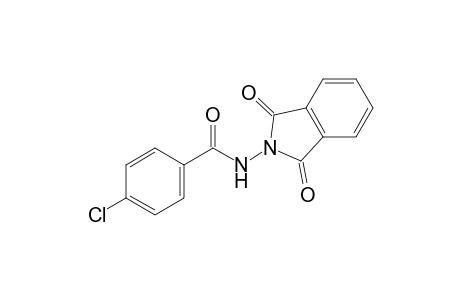 p-chlorobenzoic acid, phthaloyl hydrazide