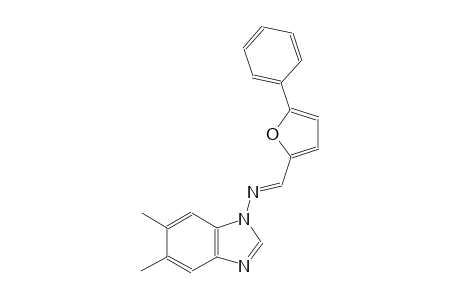 N-(5,6-dimethyl-1H-benzimidazol-1-yl)-N-[(E)-(5-phenyl-2-furyl)methylidene]amine