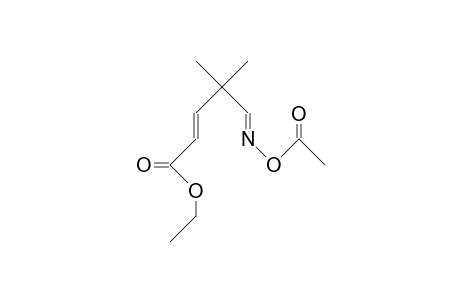 Ethyl (E)-N-acetoxy-4,4-dimethyl-6-azahexa-2,5-dienoate
