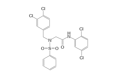2-[(3,4-dichlorobenzyl)(phenylsulfonyl)amino]-N-(2,5-dichlorophenyl)acetamide