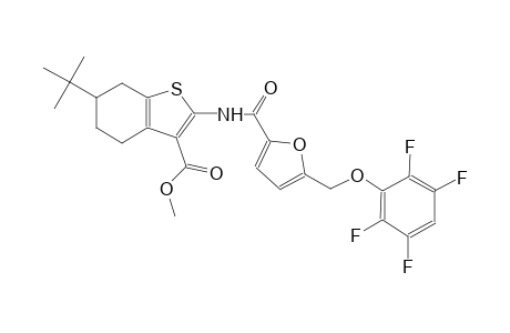 methyl 6-tert-butyl-2-({5-[(2,3,5,6-tetrafluorophenoxy)methyl]-2-furoyl}amino)-4,5,6,7-tetrahydro-1-benzothiophene-3-carboxylate