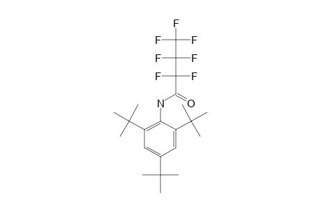 2,4,6-tri-Tert-butylaniline, N-heptafluorobutyryl-