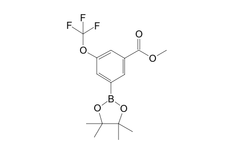 Methyl 3-(4,4,5,5-tetramethyl-1,3,2-dioxaborolan-2-yl)-5-(trifluoromethoxy)benzoate