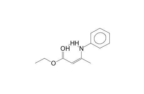(Z)-3-anilino-2-butenoic acid ethyl ester