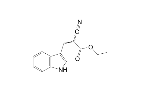 a-cyanoindole-3-acrylic acid, ethyl ester