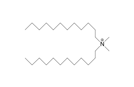 Didodecyl-dimethyl-ammonium cation