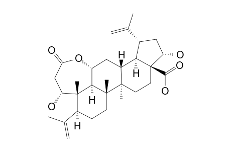 22-ALPHA-HYDROXYCHIISANOGENIN