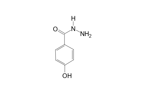 p-Hydroxybenzoic acid hydrazide