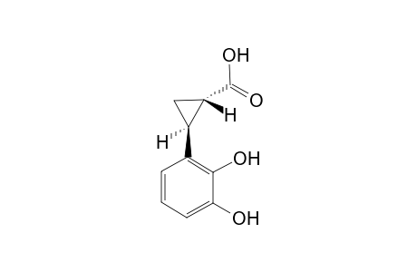 (1S,2S)-2-(2,3-Dihydroxyphenyl)cyclopropane-1-carboxylic acid