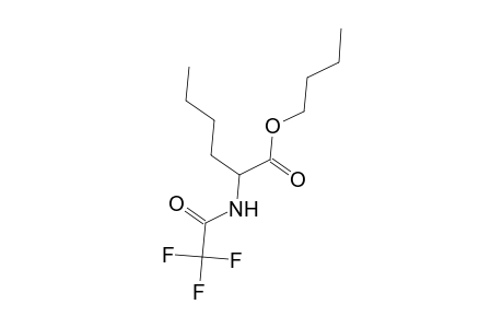 L-Norleucine, N-(trifluoroacetyl)-, butyl ester