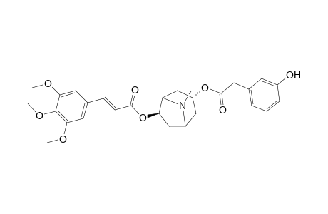 Pervilleine E