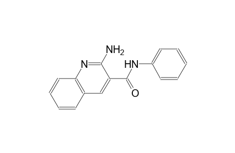 2-Amino-N-phenyl-3-quinolinecarboxamide