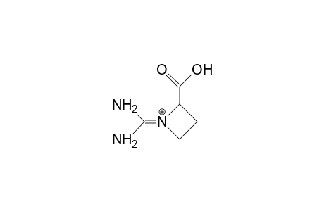 1-Diaminomethylidene-azetidine-2-carboxylic acid, cation