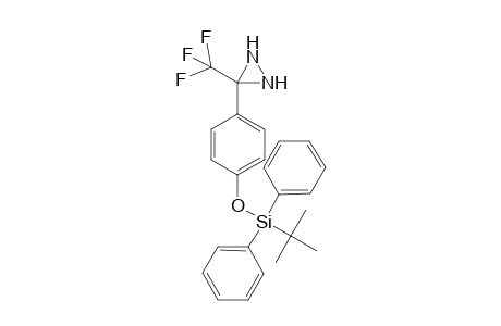 O-(p-Toluenesulfonyl)-1-[4'-[(t-butyldiphenylsilyl)oxyphenyl]-2,2,2-trifluoroethanone - Oxime