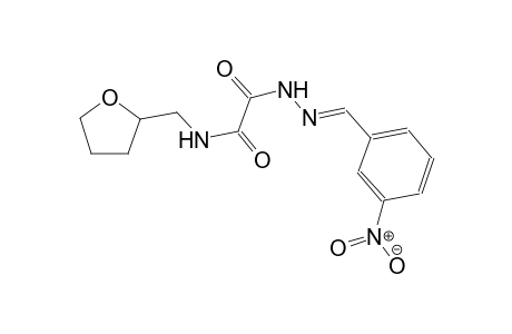 2-[(2E)-2-(3-Nitrobenzylidene)hydrazino]-2-oxo-N-(tetrahydro-2-furanylmethyl)acetamide
