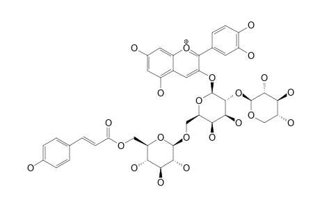 CYANIDIN-3-O-BETA-D-XYLOPYRANOSYL-(1->2)-[6-O-(4-COUMAROYL)-BETA-D-GLUCOPYRANOSYL-(1->6)]-BETA-D-GALACTOPYRANOSIDE