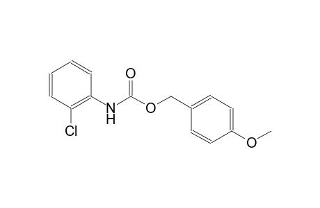 (2-Chlorophenyl)carbamic acid, 4-methoxybenzyl ester