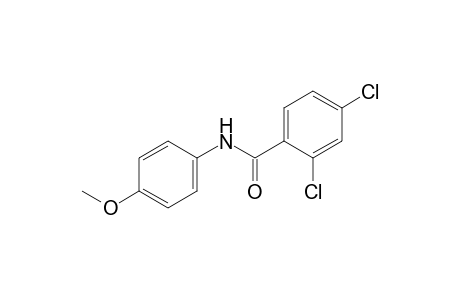 2,4-dichloro-p-benzanisidide