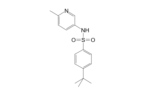 Benzenesulfonamide, 4-tert-butyl-N-(6-methylpyridin-3-yl)-