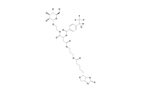 N-[PARA-(TRIFLUOROMETHYL-DIAZIRINYL)-BENZOYL]-4[(+)-BIOTINYLAMIDOPROPYL]-1-[2-(ALPHA-D-MANNOPYRANOSYLOXY)-ETHYL]-L-ASPARTIC-ACID-DIAMIDE