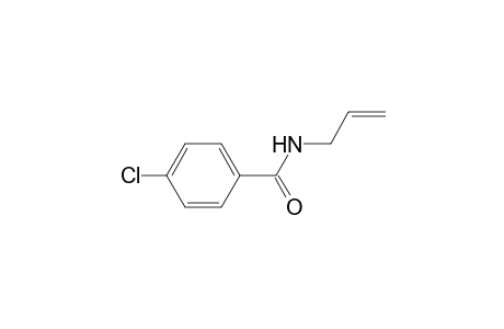 Benzamide, 4-chloro-N-2-propenyl-