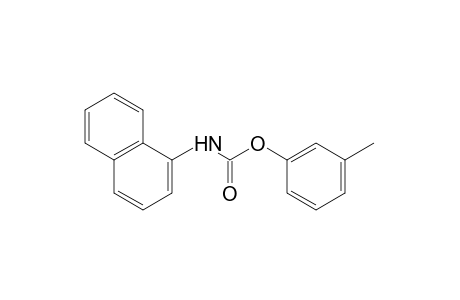 1-naphthalenecarbamic acid, m-tolyl ester