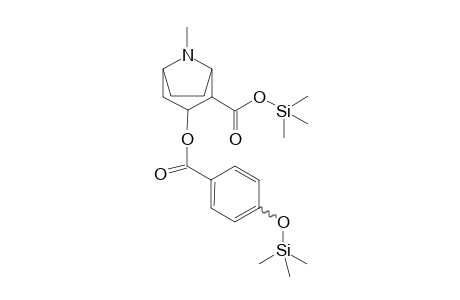 Cocaine-M (HO-BZE) 2TMS