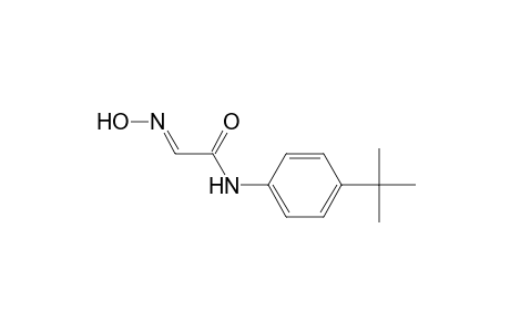 4'-tert-butyl-2-isonitrosoacetanilide