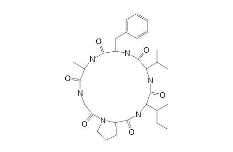 CLEROMYRINE I(CYCLOHEXAPEPTIDE-ALA-GLY-PRO-ILE-VAL-PHE)