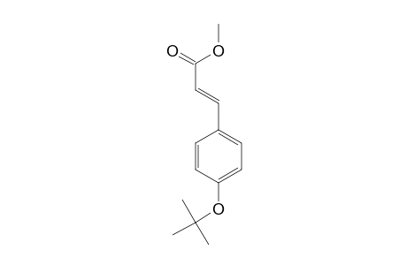 4-T-Butoxy-trans-cinnamic acid, methyl ester