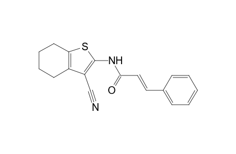 N-(3-cyano-4,5,6,7-tetrahydrobenzo[b]thiophen-2-yl)cinnamamide