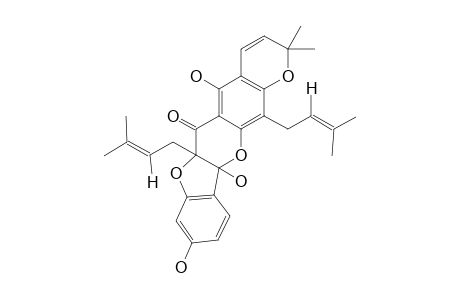 SANGGENON-L