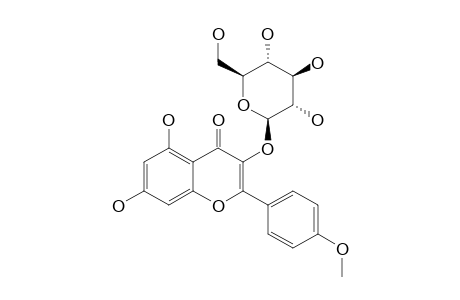 KAEMPFERIDE-3-O-BETA-D-GLUCOPYRANOSIDE