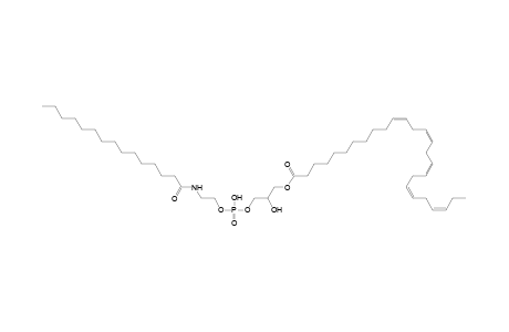LNAPE 26:5/N-15:0
