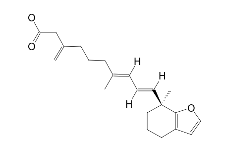 (7E,7'S,9E)-7-METHYL-3-METHYLENE-10-(7'-METHYL-4',5',6',7'-TETRAHYDROBENZOFURAN-7'-YL)-DECA-7,9-DIENOIC-ACID