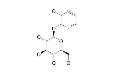PYROCATECHOL-1-O-BETA-D-GLUCOPYRANOSIDE