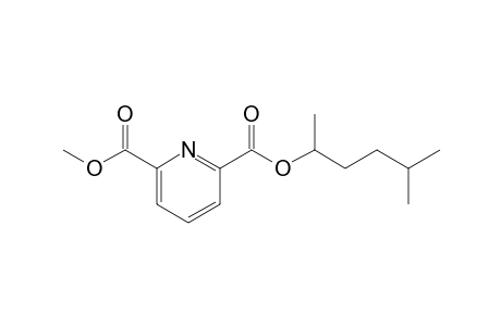 2,6-Pyridinedicarboxylic acid, 5-methylhex-2-yl methyl ester