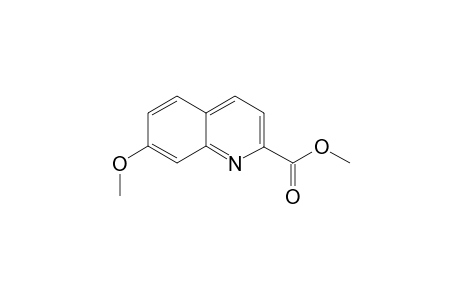 Methyl 7-methoxyquinoline-2-carboxylate