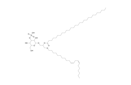 SMGDG O-21:2_28:0