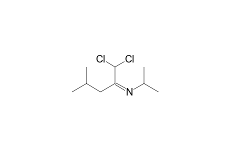 N-iso-Propyl-5,5-dichloro-2-methyl-4-pentanimine