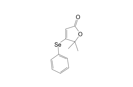 5,5-Dimethyl-4-(phenylseleno)-2-furanone