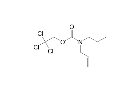 Carbamic acid, N-allyl-N-propyl-, 2,2,2-trichloroethyl ester