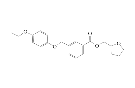 tetrahydro-2-furanylmethyl 3-[(4-ethoxyphenoxy)methyl]benzoate