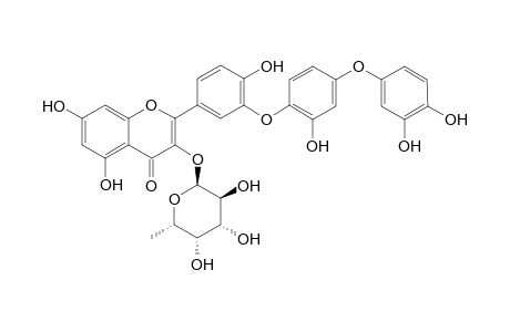 3'-(4'''-(3'''',4''''-dihydroxyphenoxy)-2'''-hydroxyphenoxy)quercetin-3-O-.alpha.-L-fucopyranoside