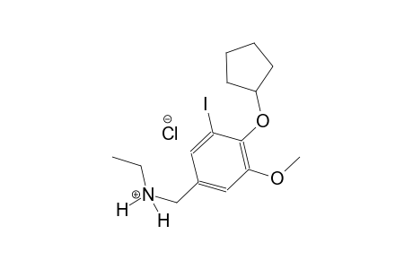 N-[4-(cyclopentyloxy)-3-iodo-5-methoxybenzyl]ethanaminium chloride