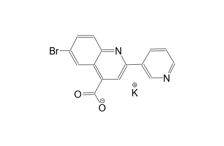 potassium 6-bromo-2-(3-pyridinyl)-4-quinolinecarboxylate