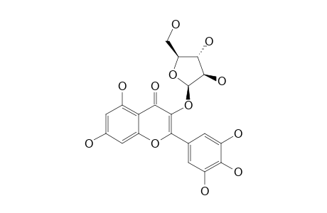 MYRICETIN-3-O-ALPHA-L-ARABINOFURANOSIDE;BETMIDIN